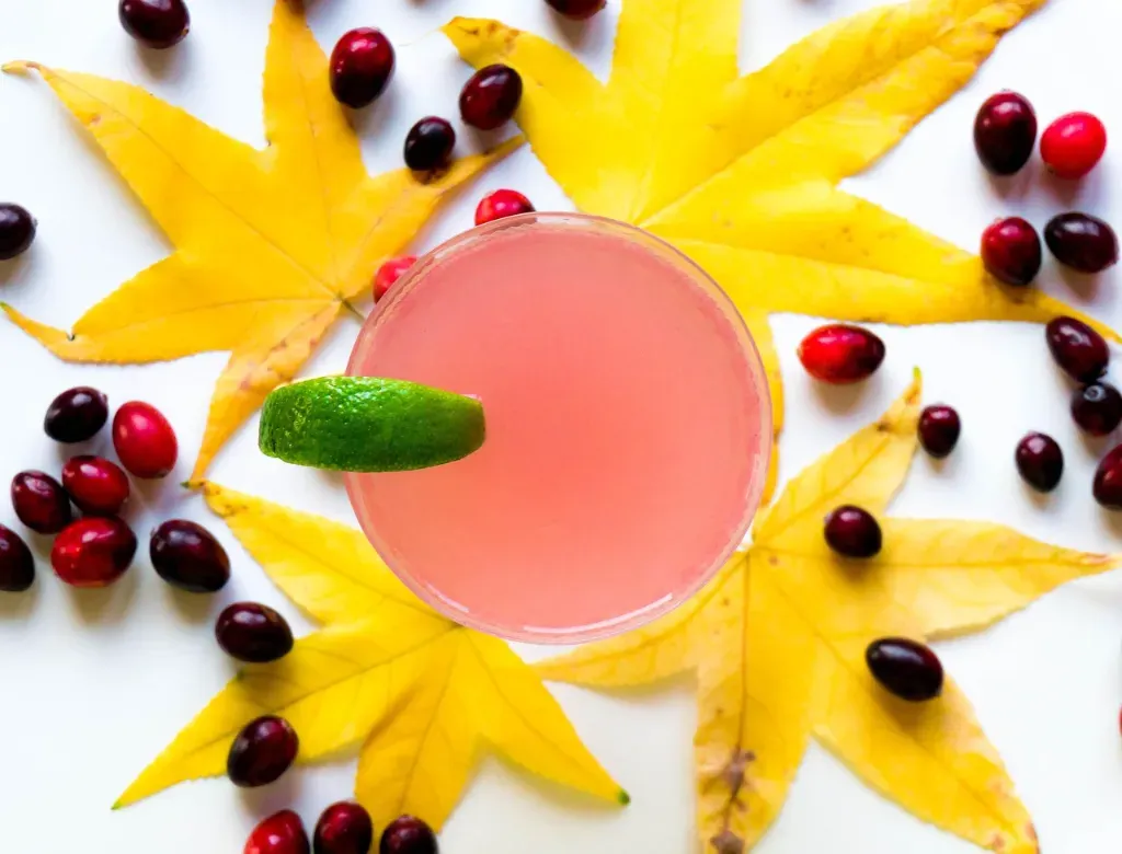 Gin różowy a klasyczny – porównanie aromatów i sposobów produkcji